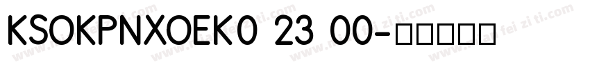 KSOKPNXOEK0 23 00字体转换